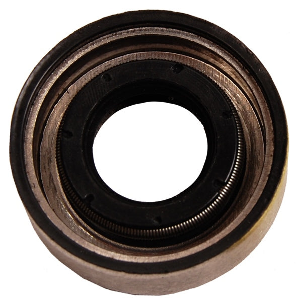 BRPEVINRUDE OIL SEAL 314167