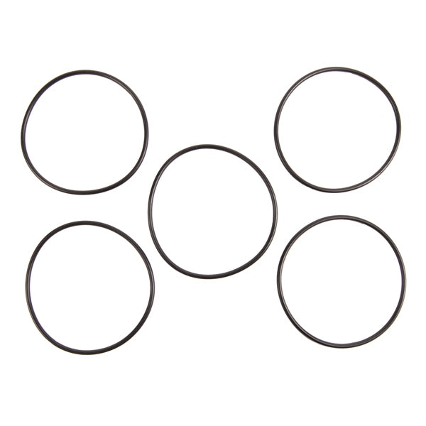 BRPEVINRUDE O-RING QTY 5 338518
