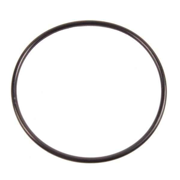 BRPEVINRUDE O-RING QTY 10 313446