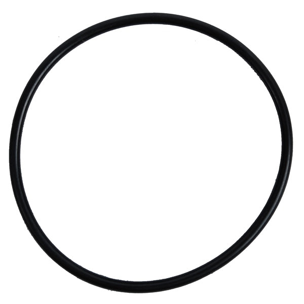 BRPEVINRUDE O-RING 5033009