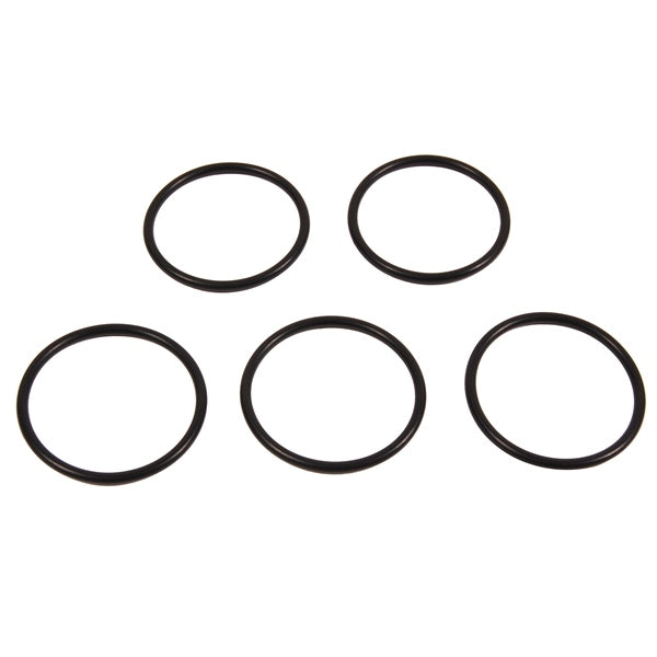 BRPEVINRUDE O-RING QTY 5 308626