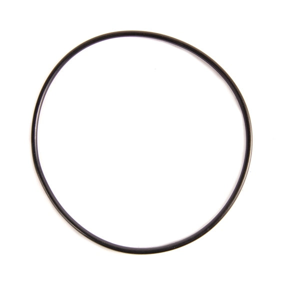 BRPEVINRUDE O-RING 326741