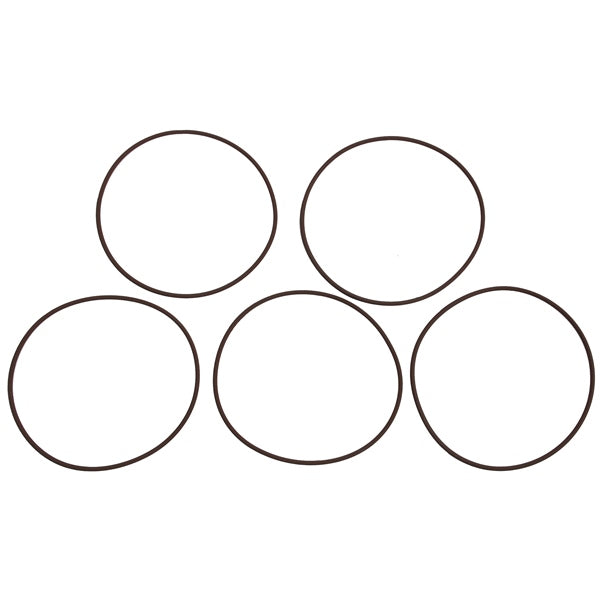 BRPEVINRUDE O-RING CYLINDER HD QTY 5 335523