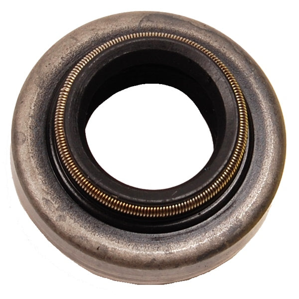 BRPEVINRUDE WATER PUMP SEAL 3853655