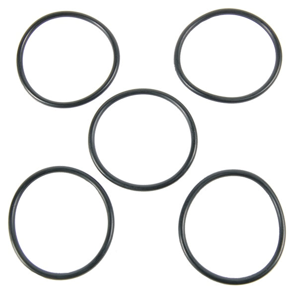 BRPEVINRUDE O-RING QTY 5 319528