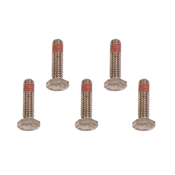 BRPEVINRUDE SCREW QTY 5 302325