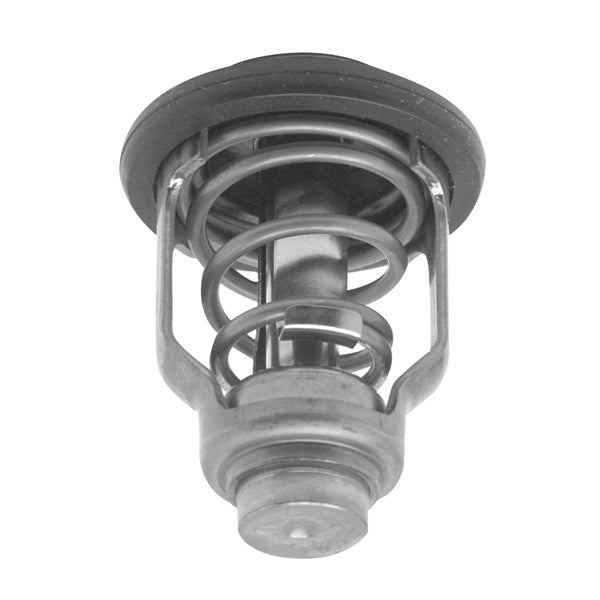 BRPEVINRUDE THERMOSTAT 60DEG C 5033721