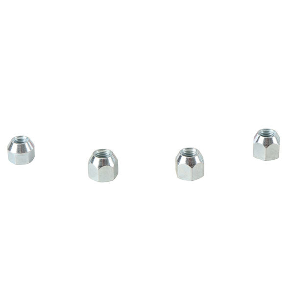 ALL BALLS WHEEL NUT KIT 85-1244