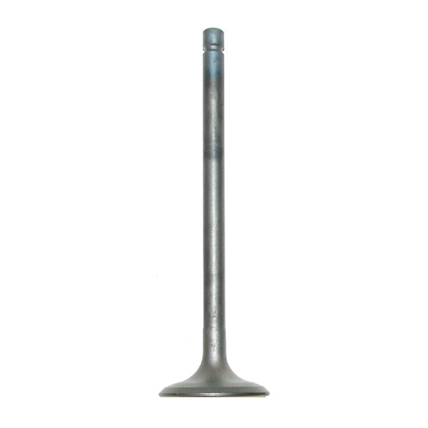 WSM EXHAUST VALVE WSM 017-313-02