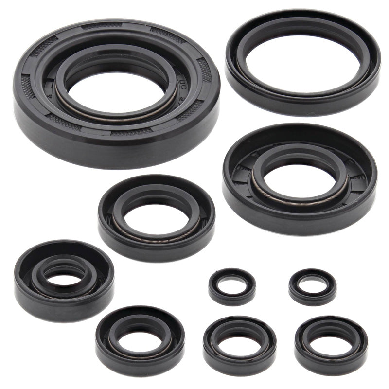 VERTEX OIL SEAL KIT 822304