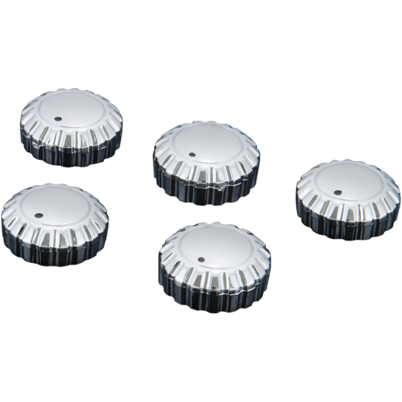 SHOW CHROME RADIO KNOB SET GL1500/6 2-361