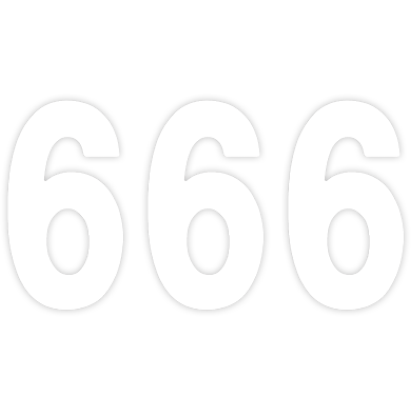 FACTORY EFFEX PRO 5" NUMBER WHITE #6 03-0206