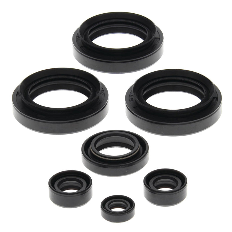 VERTEX OIL SEAL KIT 822145