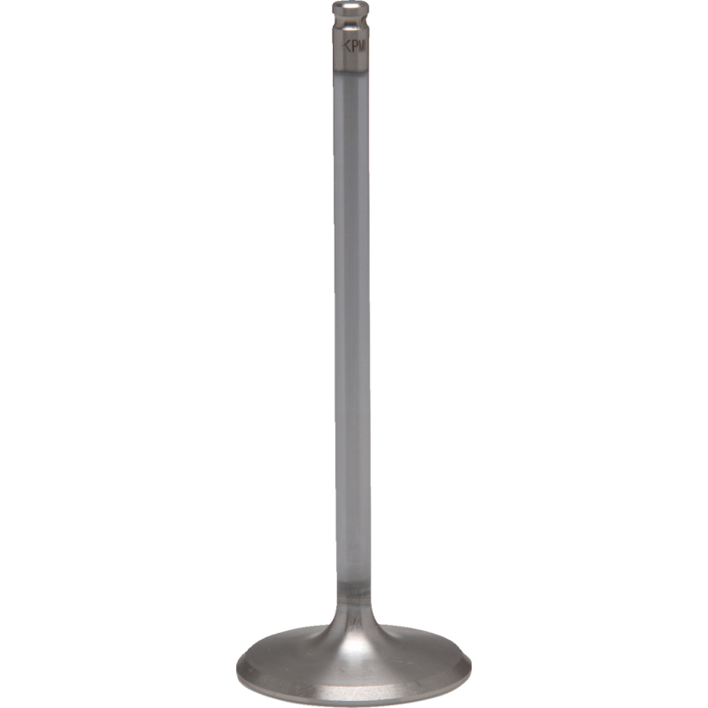 KIBBLEWHITE VALVE IN STD HON1000 16+ 30-33812H