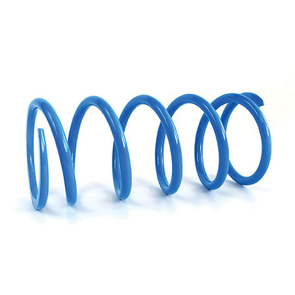 EPI PRIMARY CLUTCH SPRING CAN-AM CAPS3
