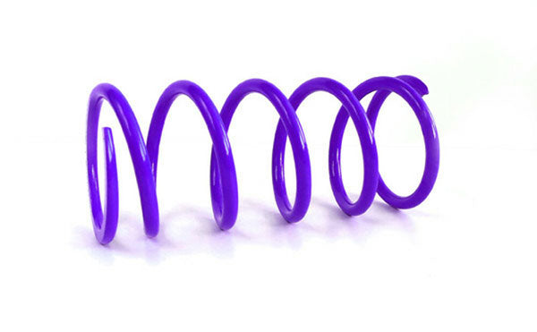 EPI PRIMARY CLUTCH SPRING CAN-AM CAPS5