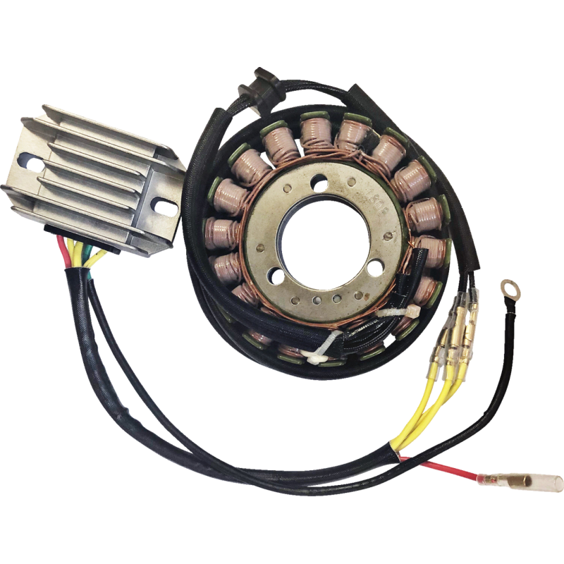 RICK'S MOTORSPORT ELECTRIC CHARGING KIT H/S KAWASAKI 99-200H
