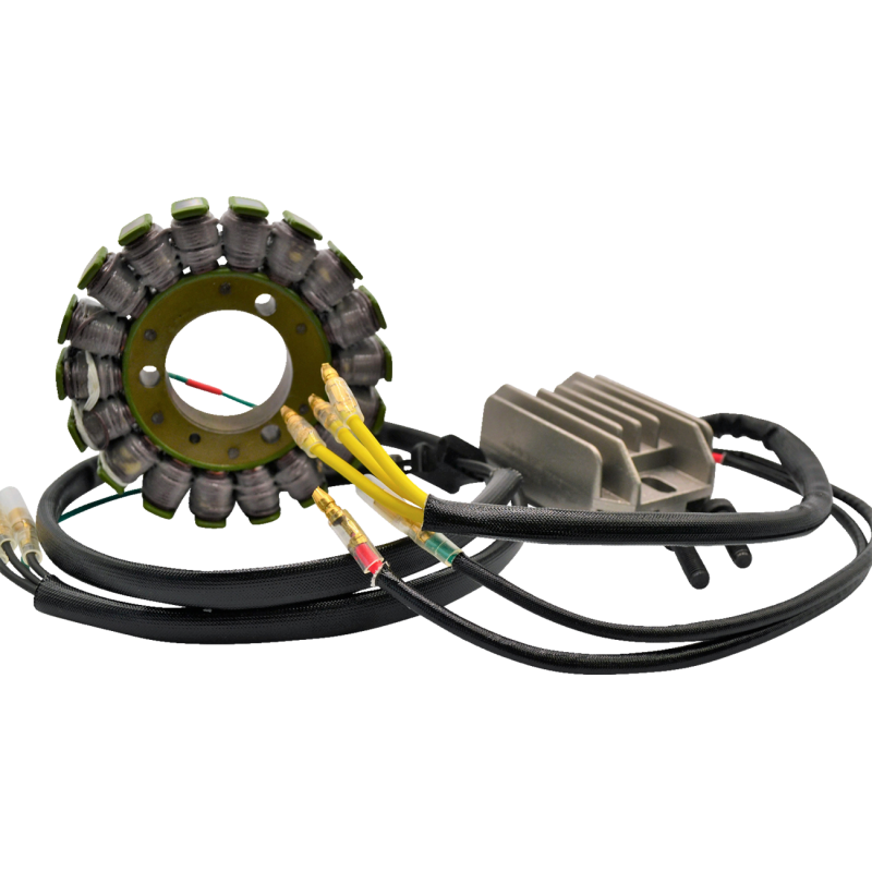 RICK'S MOTORSPORT ELECTRIC CHARGING KIT H/S KAWASAKI 14-99-201H