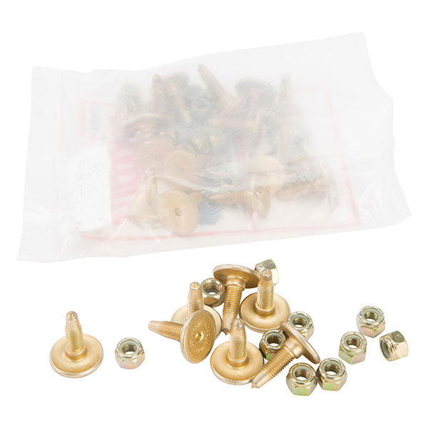 WOODY'S GOLD DIGGER TRACTION MASTER STUD 5/16" 0.875" 24/PKG GDP6-8755
