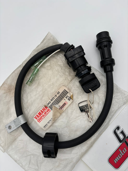YAMAHA IGNITION KEY SWITCH SUB 6H3-82510-04-00 6H3-82510-02-00 Y201