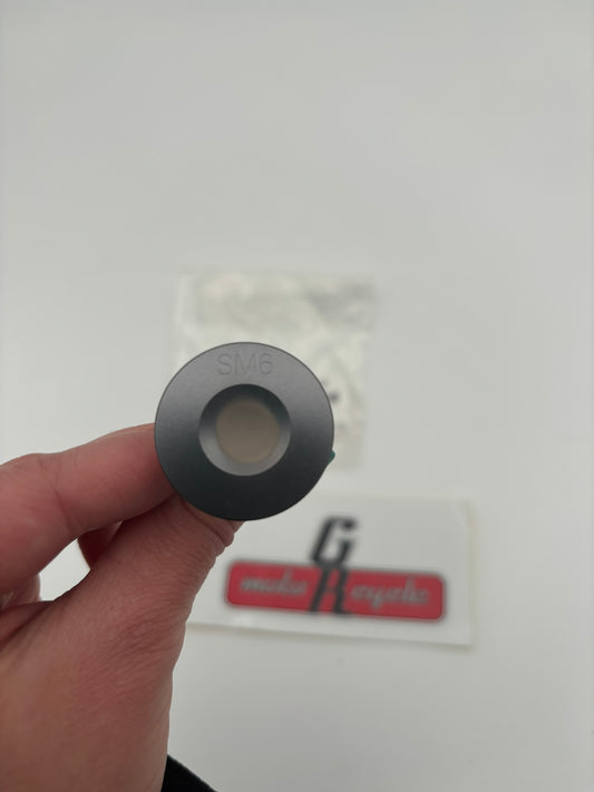 YAMAHA INTAKE VALVE 1SM-12111-10-00 Y264