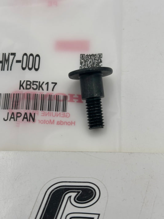 HONDA SPECIAL SCREW (6X8) 90102-HM7-000 H102