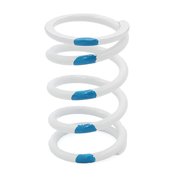 EPI PRIMARY CLUTCH SPRING POLARIS PATV28
