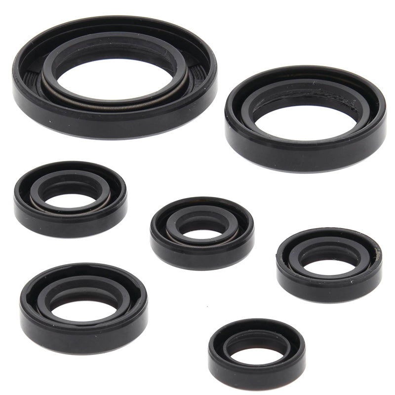 VERTEX OIL SEAL KIT 822311