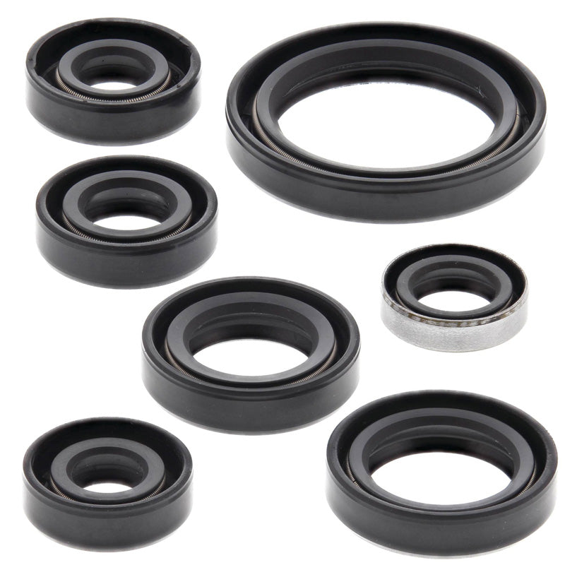 VERTEX OIL SEAL KIT 822136