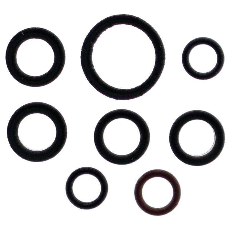 VERTEX INJECTOR O-RING 725029