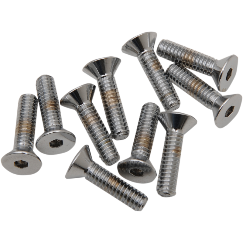 DRAG SPECIALTIES 1/4"-20 X3/4" BOLT HEADS (10) MPB366
