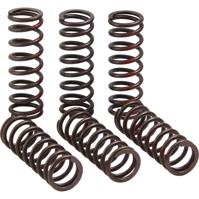 PRO CIRCUIT CLUTCH SPRING CRF450R CSH21450-CS