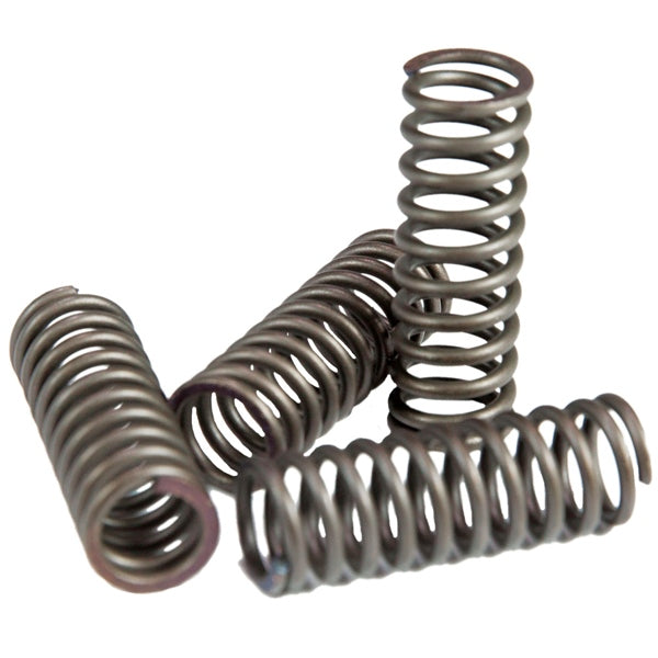 EBC CLUTCH SPRING KIT HON EBC CSK101