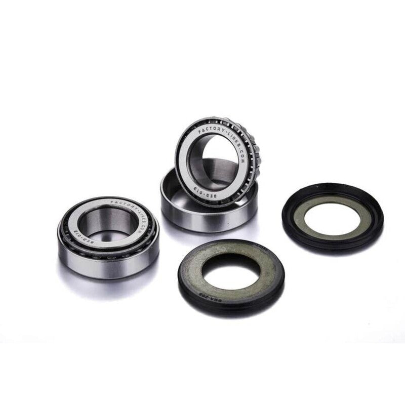 FACTORY LINKS WHEEL BEARING KIT - REAR RWK-H-250
