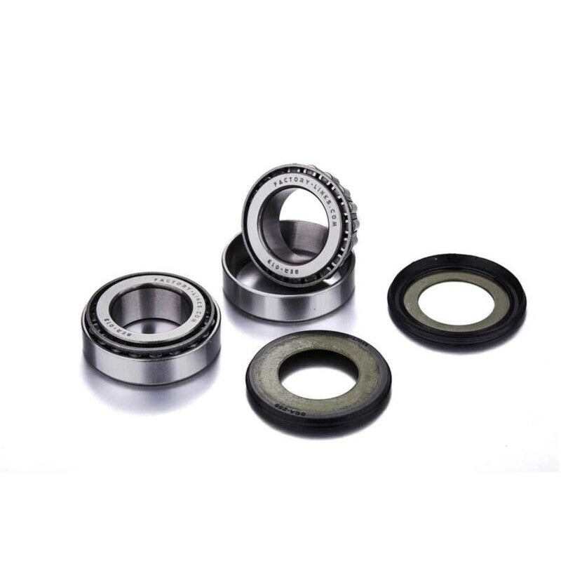 FACTORY LINKS WHEEL BEARING KIT - REAR RWK-D-001