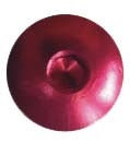 KEITI SCREEN SCREW KIT RD KEITI SSK156