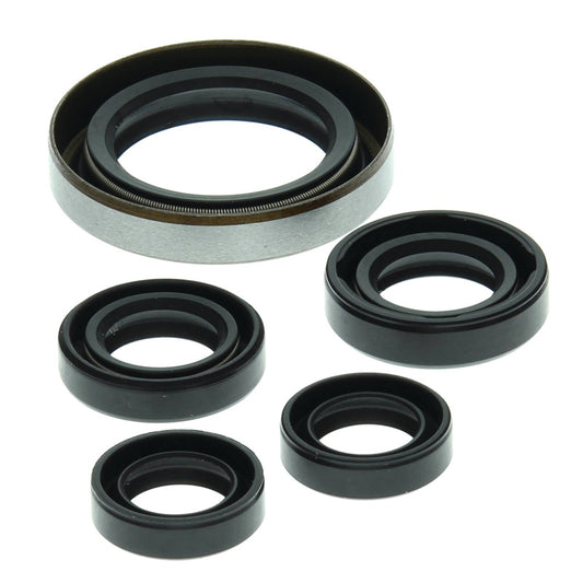 VERTEX OIL SEAL KIT 822249