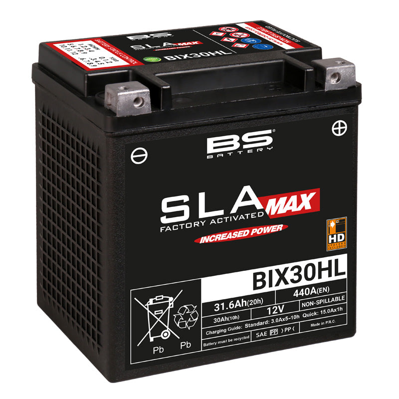 BS BATTERY XREPLACED BY 054-935 300884