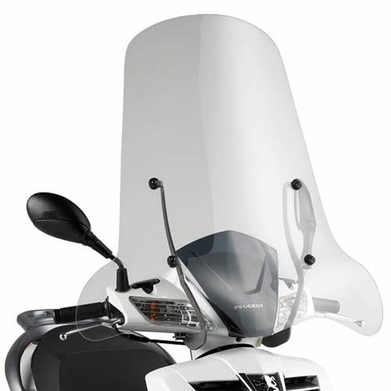 GIVI SCREEN BLADE ONLY BV250 06-07/HONDA RUCKUS 128A