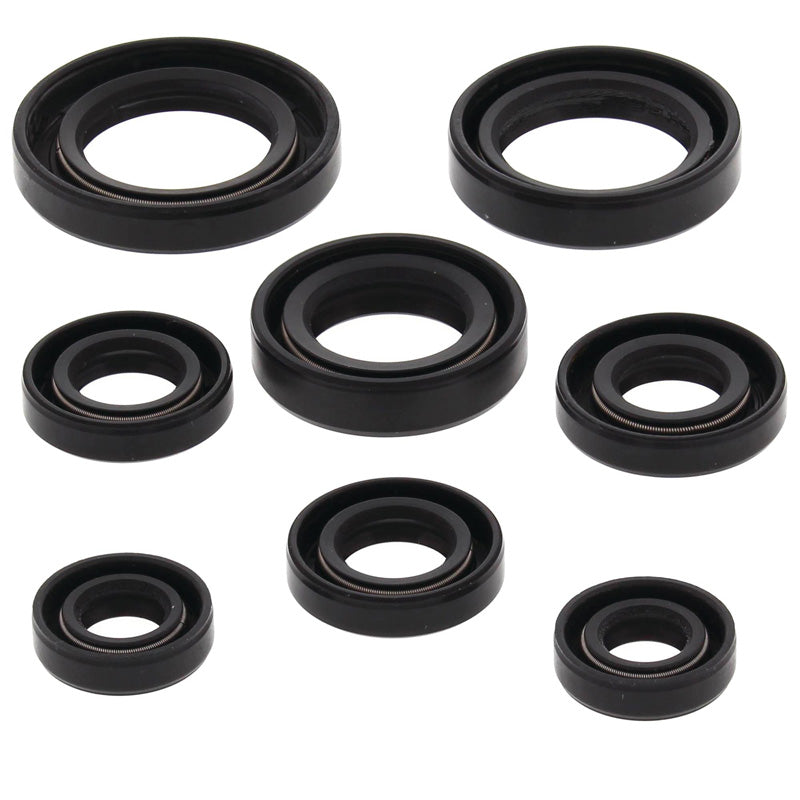 VERTEX OIL SEAL KIT 822255