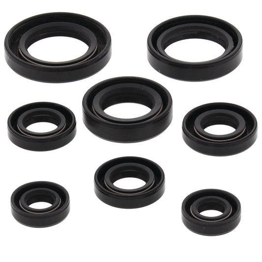 VERTEX OIL SEAL KIT 822255