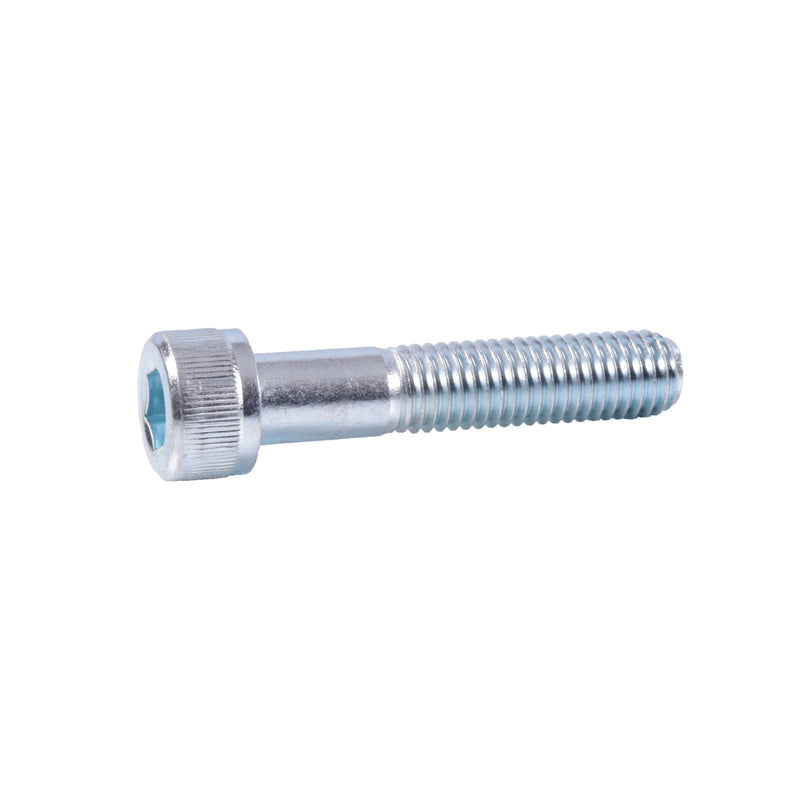 ITL ALLEN SCREW 10X50MM (25 PCS)(1.5) 08991050
