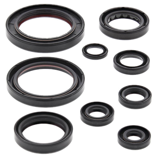 VERTEX OIL SEAL KIT 822357