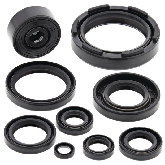 VERTEX OIL SEAL KIT 822117