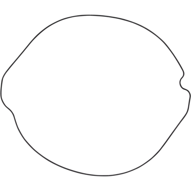 WINDEROSA OUTER CLUTCH GASKET KIT 817253