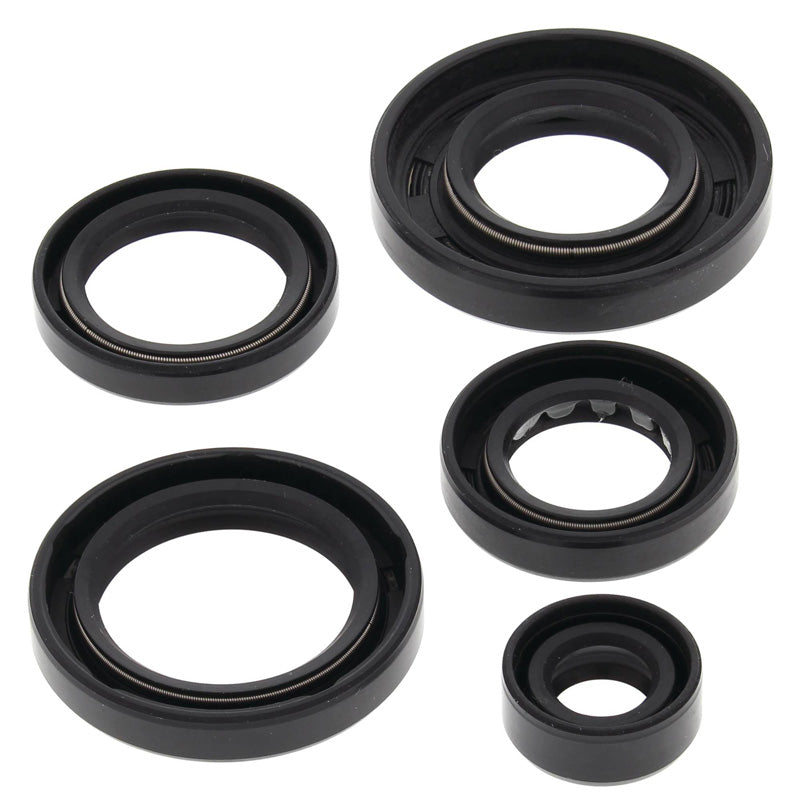VERTEX OIL SEAL KIT 822343