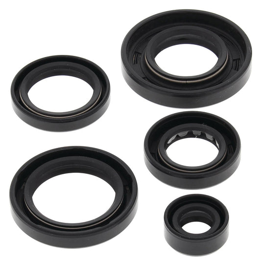 VERTEX OIL SEAL KIT 822343