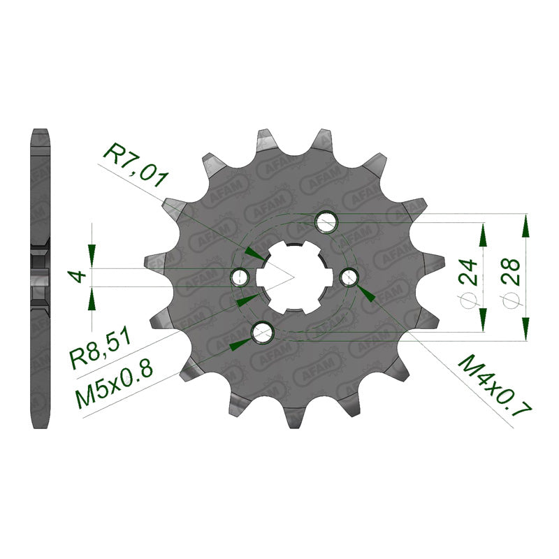 AFAM AFAM 13T DERBI GPR 420 (49102). 49102-13