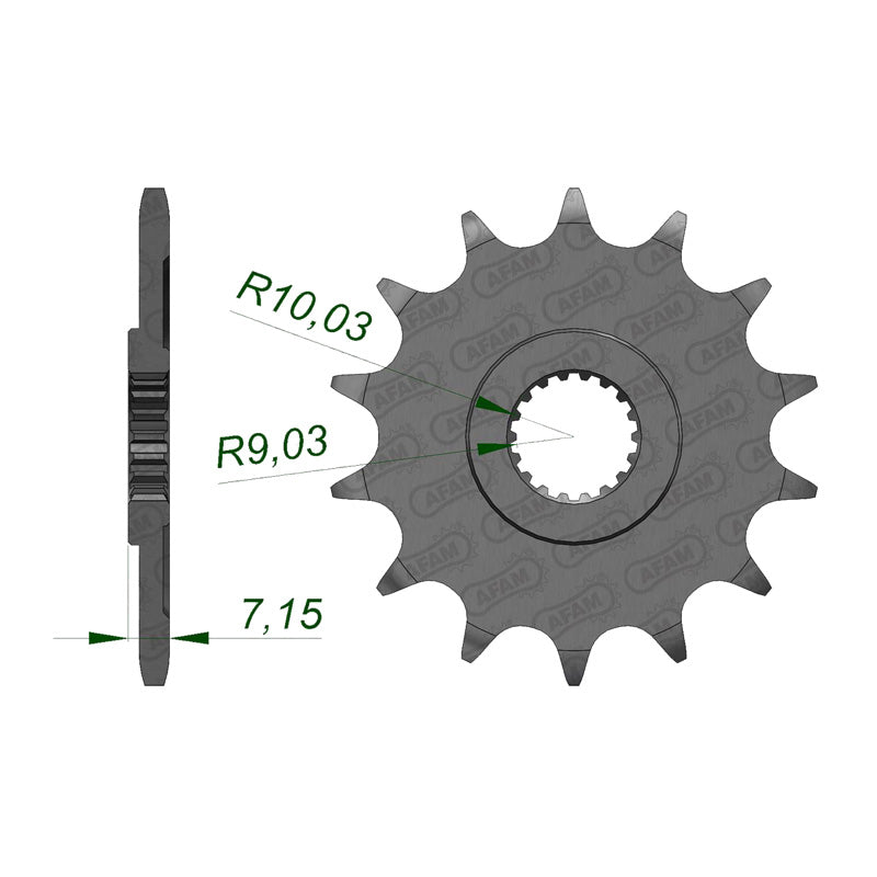 AFAM SPR.FR. RM125 80-07 13T (22203-13). 22203-13