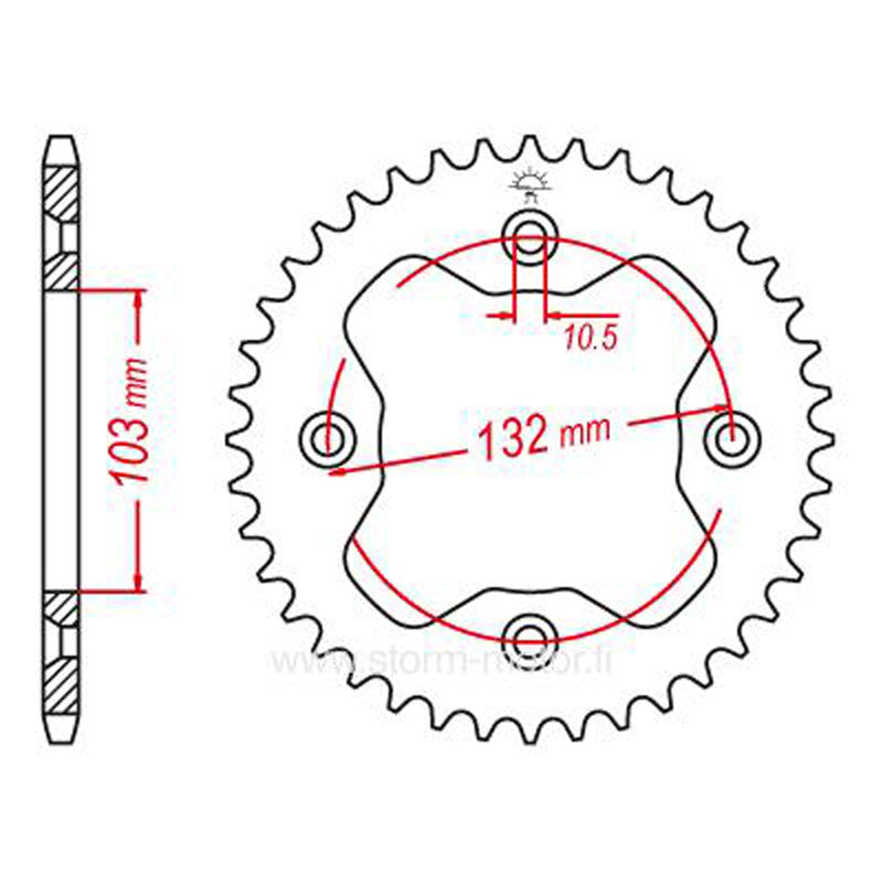 ITL SPR.AR.KTM 36T                          (JTR-881) 111167